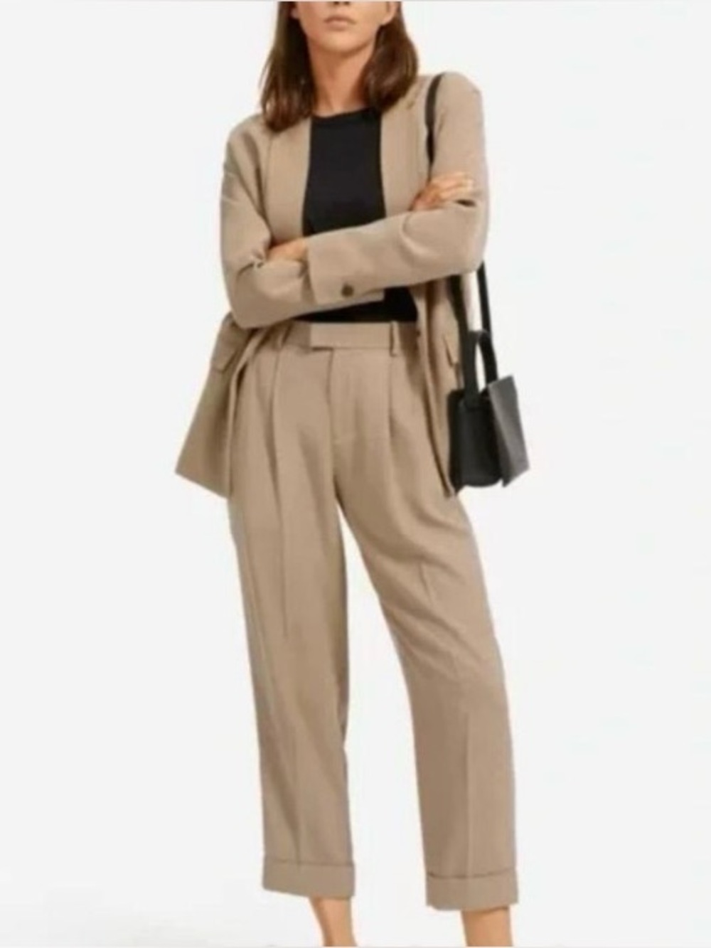 Everlane Put Together Pleat Pant Tailored Trousers size 2